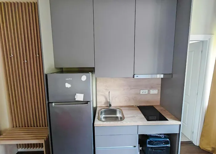 Little Downtown Romana アパートホテル ブカレスト